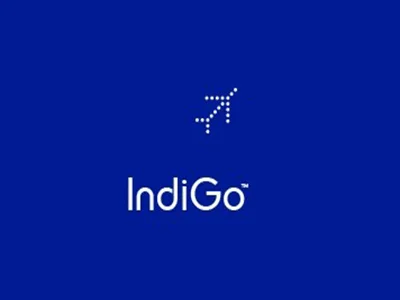 indigo-min